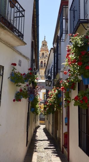 courtyards of cordoba Die Höfe von Córdoba